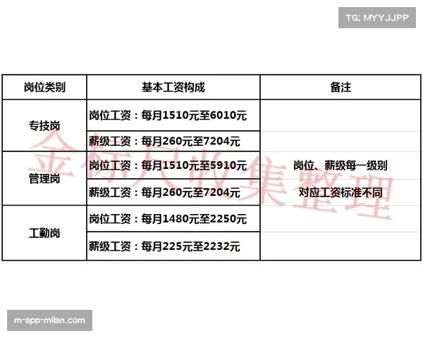 布莱顿年轻化薪资结构成效显著 5310万支出打造高效战术体系
